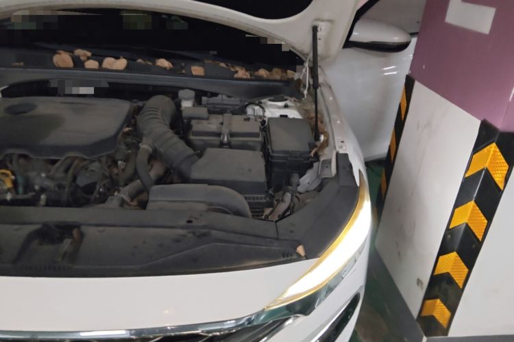 Used Hyundai Lafesta 2019 280TGDi Smart Speed Version China VI Standard Engine Bay Left
