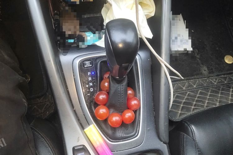Used Hyundai Lafesta 2019 280TGDi Smart Speed Version China VI Standard Gear Lever