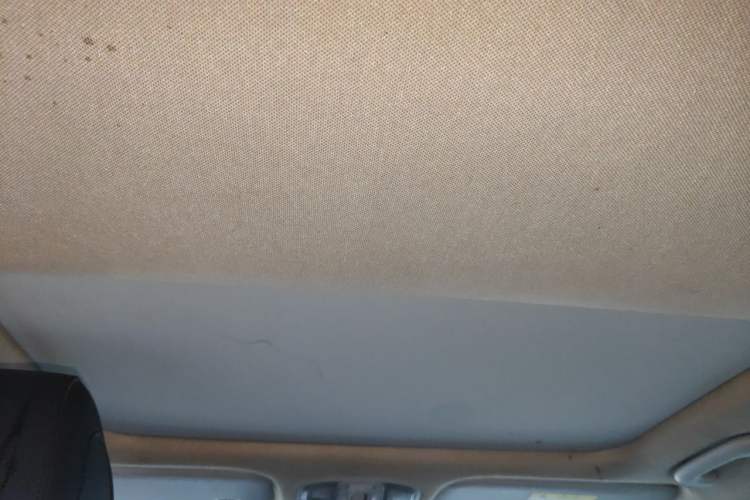 Used Hyundai Lafesta 2019 280TGDi Sport Edition China V Standard Headliner