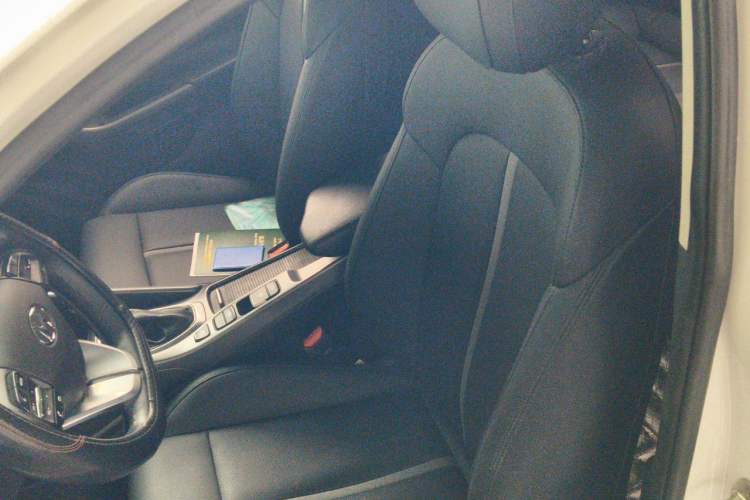 Used Hyundai Lafesta 2019 280TGDi Sport Edition China V Standard Left Front Seat