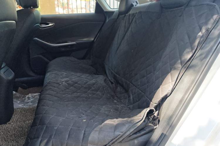 Used Hyundai Lafesta 2019 240TGDi Comfort Edition China VI Standard Left Rear Seat
