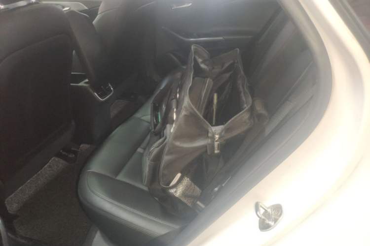 Used Hyundai Lafesta 2019 280TGDi Smart Edition China VI Standard Left Rear Seat
