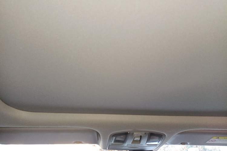 Used Hyundai Lafesta Electric 2020 DLX Enjoyment Edition Headliner