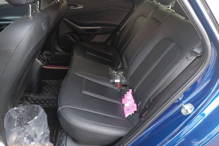 Used Hyundai Lafesta Electric 2020 DLX Enjoyment Edition Left Rear Seat