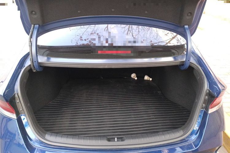 Used Hyundai Lafesta Electric 2020 DLX Enjoyment Edition Trunk