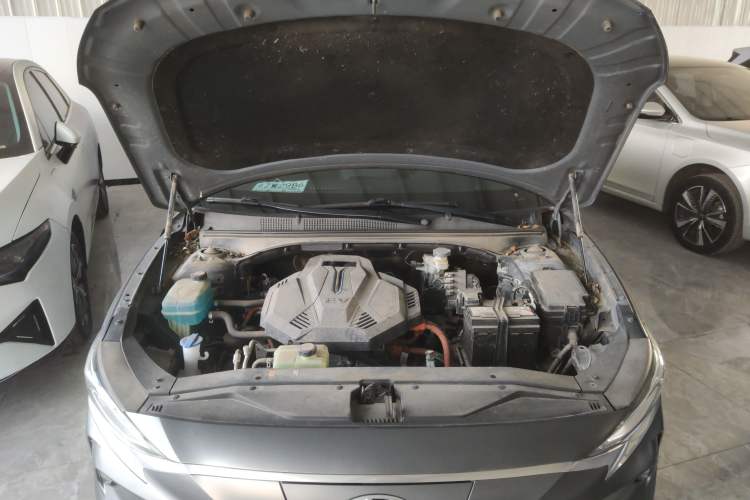 Used Hyundai Lafesta Electric 2020 DLX Enjoyment Edition Engine Bay