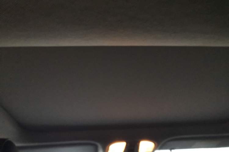 Used Hyundai Lafesta Electric 2020 DLX Enjoyment Edition Headliner
