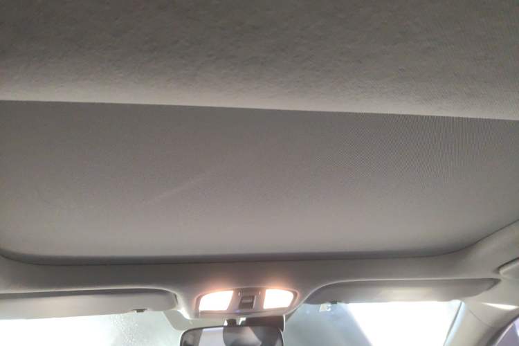 Used Hyundai Lafesta Electric 2020 DLX Enjoyment Edition Headliner