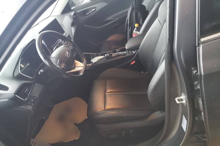 Used Hyundai Lafesta Electric 2020 DLX Enjoyment Edition Left Front Seat