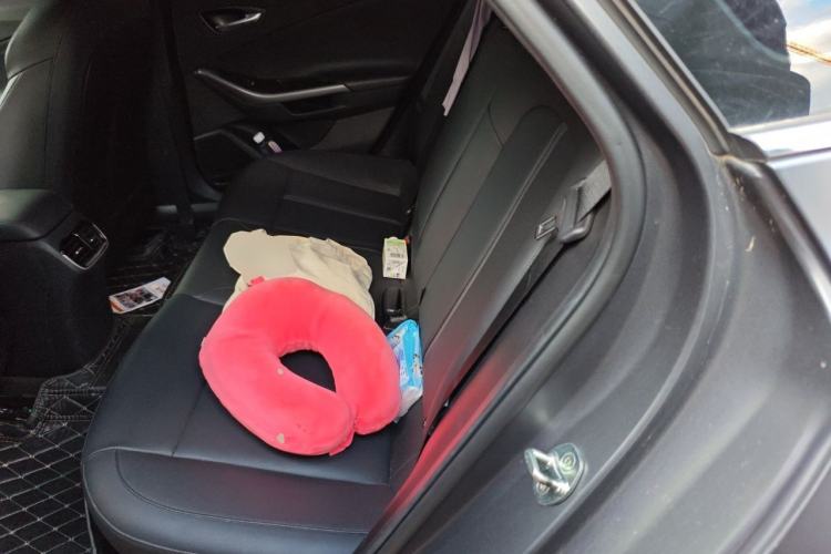Used Hyundai Lafesta Electric 2020 GLX ZhiJie Edition Left Rear Seat