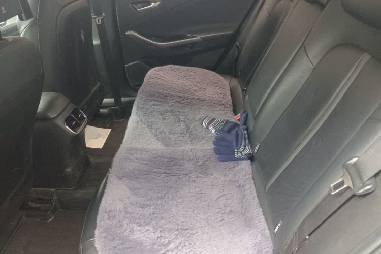 Used Hyundai Lafesta Electric 2020 GLX ZhiJie Edition Left Rear Seat