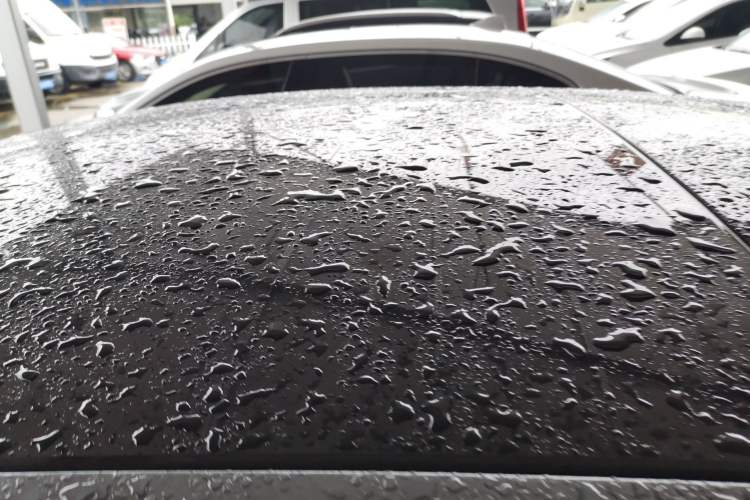 Used Hyundai Lafesta Electric 2020 DLX Enjoyment Edition Roof