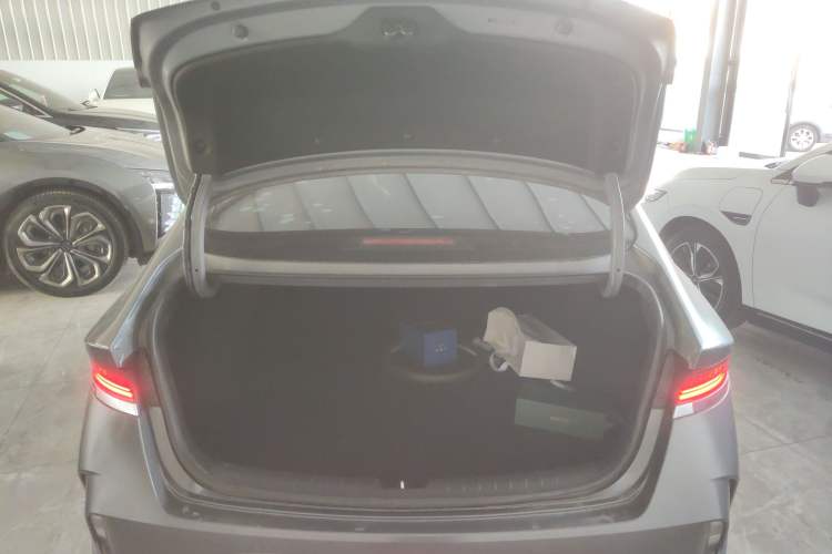 Used Hyundai Lafesta Electric 2020 DLX Enjoyment Edition Trunk