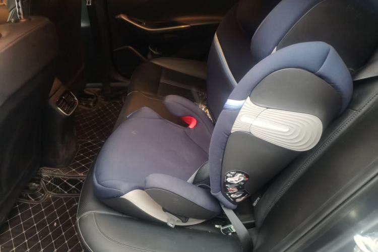 Used Hyundai Lafesta Electric 2020 DLX Enjoyment Edition Left Rear Seat