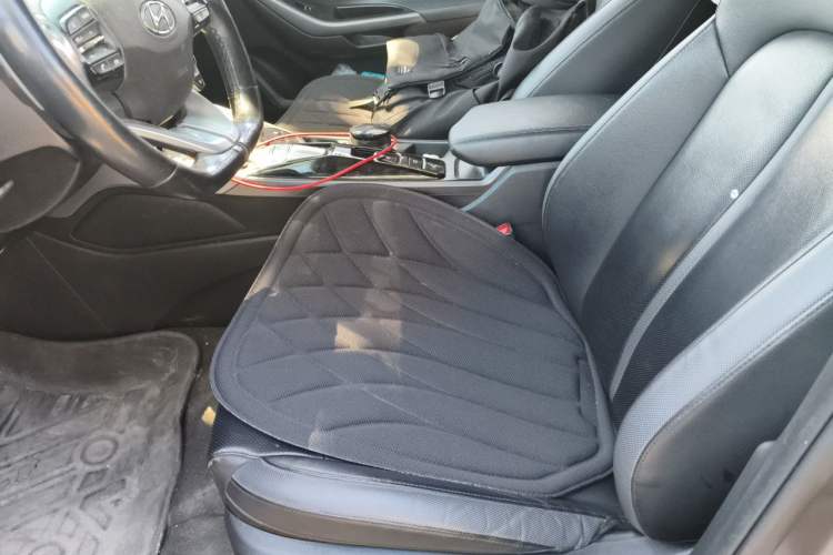 Used Hyundai Lafesta Electric 2020 DLX Enjoyment Edition Left Front Seat
