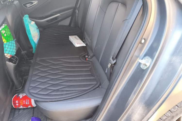 Used Hyundai Lafesta Electric 2020 DLX Enjoyment Edition Left Rear Seat