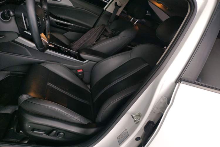 Used Hyundai Lafesta Electric 2020 DLX Enjoyment Edition Left Front Seat