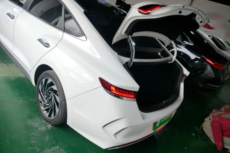 Used Hyundai Lafesta Electric 2020 DLX Enjoyment Edition Trunk