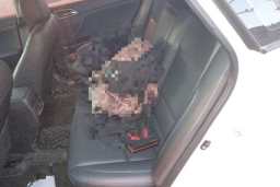 Thumbnail 18