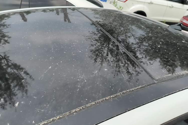 Used Hyundai Mistra 2019 1.8L Automatic Smart GLS China VI Standard Roof