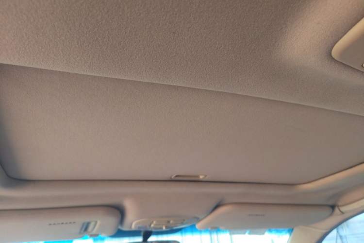 Used Hyundai MoInca 2009 2.0L Automatic Prestige GL Trim Headliner