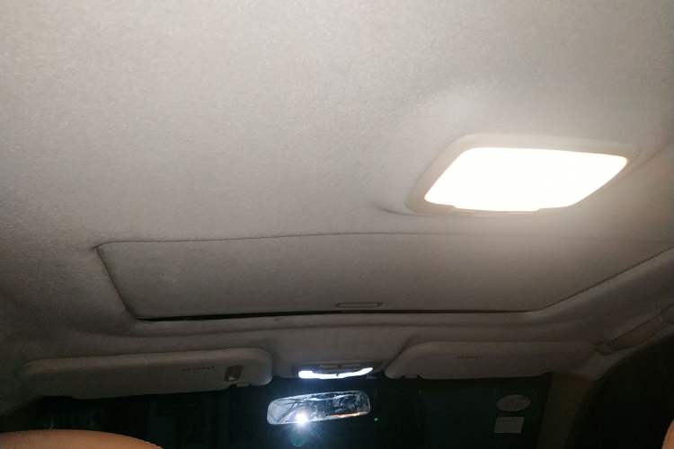 Used Hyundai MoInca 2009 2.0L Automatic Prestige GL Trim Headliner