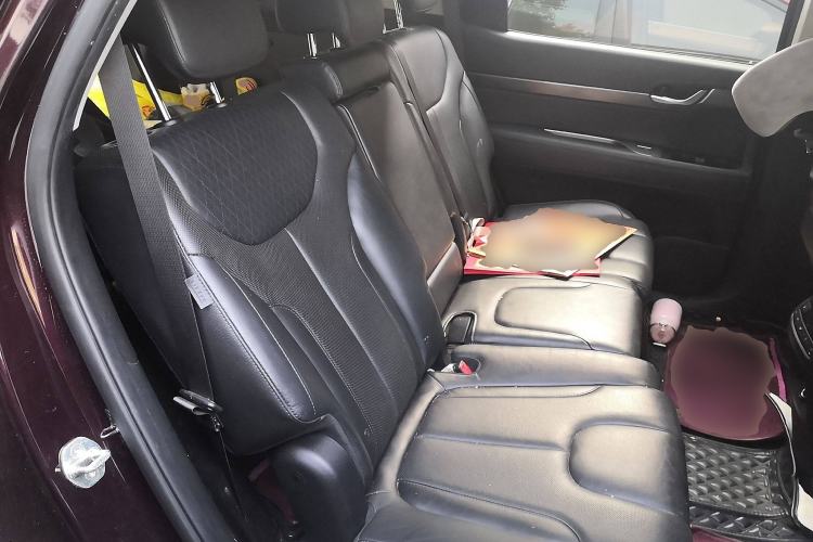 Used Hyundai Palisade 2021 3.5L Automatic 4x4 GL Left Rear Seat