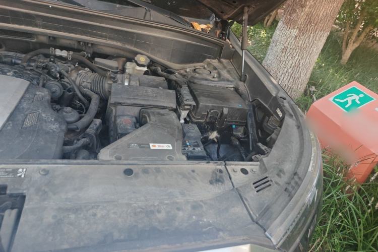 Used Hyundai Palisade 2021 3.5L Automatic 4x4 GLS Engine Bay Left