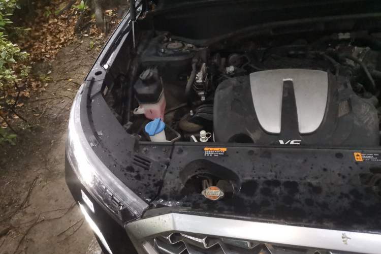 Used Hyundai Palisade 2021 3.5L Automatic 4x4 GLS Engine Bay Right