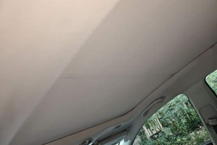 Used Hyundai Santa Fe 2013 2.4L Automatic 4x4 Smart Version Headliner