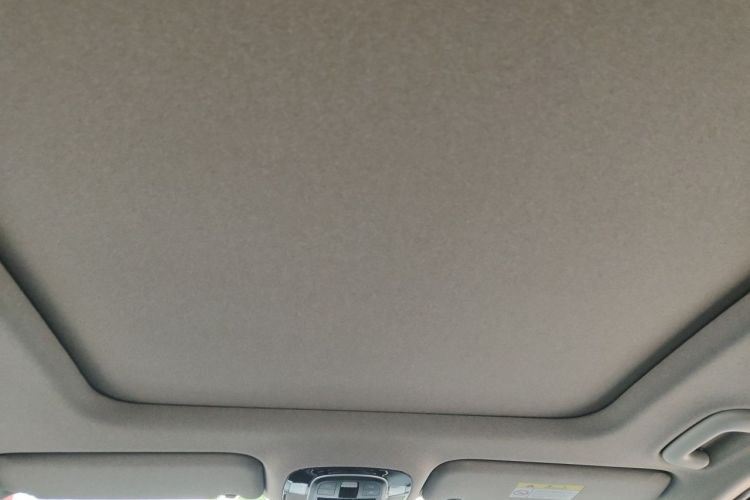 Used Hyundai Santa Fe 2019 380 TGDi GLS Automatic 2WD Luxury Version China VI Standard Headliner