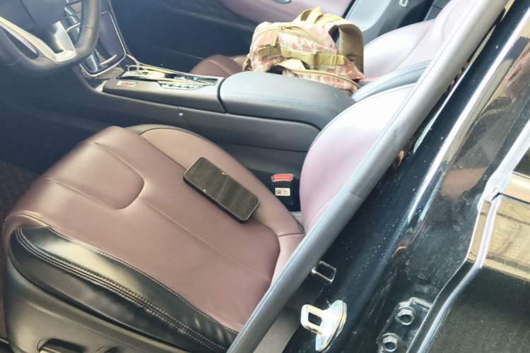 Used Hyundai Santa Fe 2019 380 TGDi GLS Automatic 2WD Luxury Version China V Standard Left Front Seat