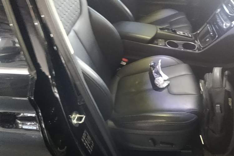 Used Hyundai Santa Fe 2019 380 TGDi DLX Automatic Two-Wheel Drive Prestige Plus Version China VI Standard Right Front Seat