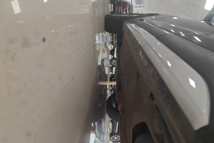 Used Hyundai Santa Fe 2019 380 TGDi DLX Automatic All-Wheel Drive Prestige PLUS (HTRAC) China VI Left Side Sill