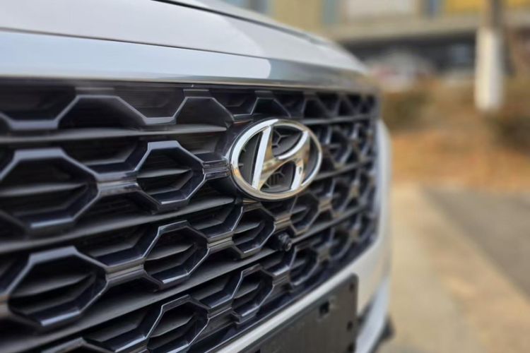 Used Hyundai Santa Fe 2019 380 TGDi GLS Automatic 2WD Luxury Version China VI Standard Exterior 2