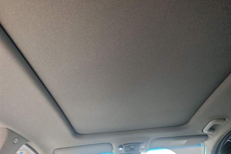 Used Hyundai Santa Fe 2019 380 TGDi DLX Automatic All-Wheel Drive Prestige (HTRAC) China VI Headliner
