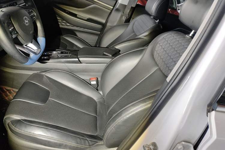 Used Hyundai Santa Fe 2019 380 TGDi GLS Automatic 2WD Luxury Version China VI Standard Left Front Seat