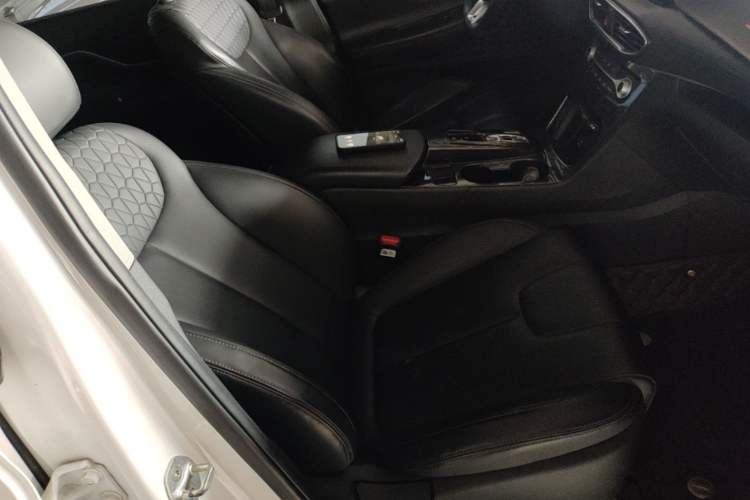 Used Hyundai Santa Fe 2019 380 TGDi GLS Automatic 2WD Luxury Version China VI Standard Right Front Seat