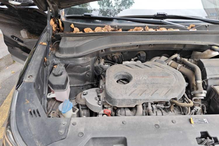 Used Hyundai Santa Fe 2020 380 TGDi Automatic Two-Wheel Drive DLX Prestige Edition PLUS Engine Bay Right