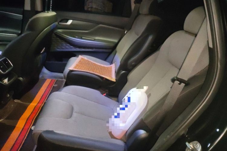 Used Hyundai Santa Fe 2020 380 TGDi Automatic Two-Wheel Drive GL Elite Edition Left Rear Seat