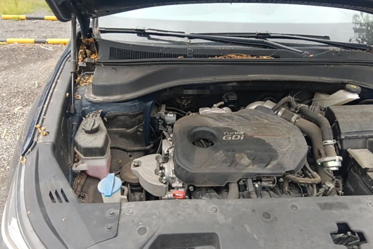 Used Hyundai Santa Fe 2020 380 TGDi Automatic Two-Wheel Drive TOP Flagship Edition Engine Bay Right