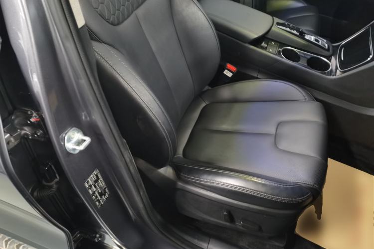 Used Hyundai Santa Fe 2020 380 TGDi Automatic All-Wheel Drive DLX HTRAC Prestige Edition Right Front Seat