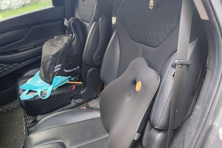 Used Hyundai Santa Fe 2020 380 TGDi Automatic Two-Wheel Drive GLS Luxury Edition Left Rear Seat