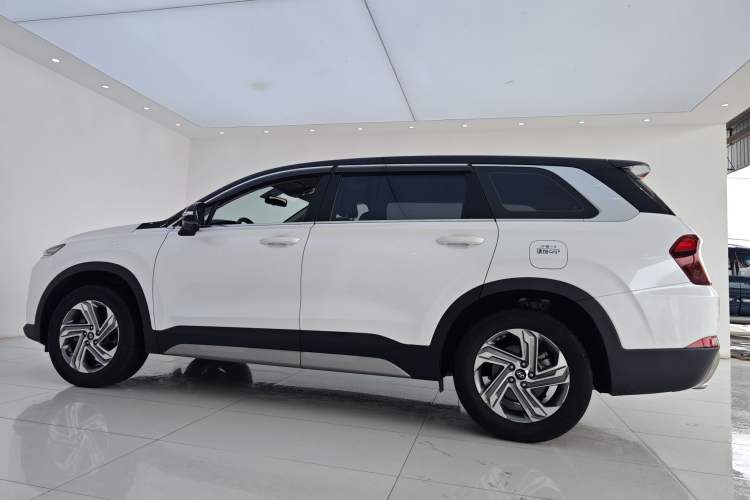 Used Hyundai Santa Fe 2020 380 TGDi Automatic Two-Wheel Drive GL Elite Edition Exterior 12