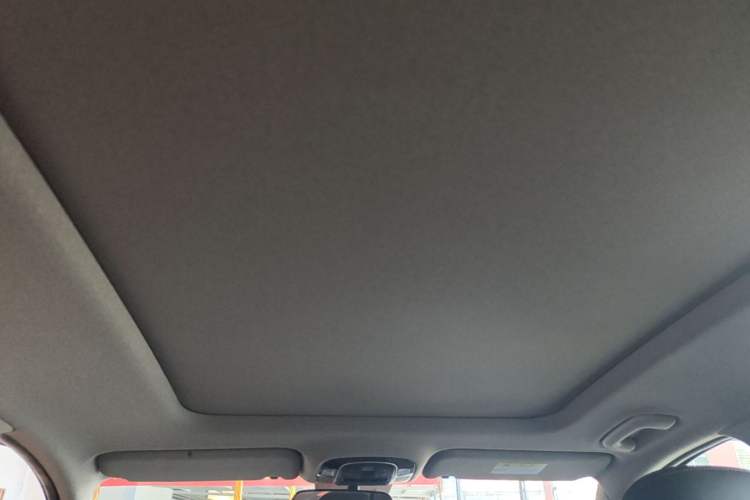 Used Hyundai Santa Fe 2020 380 TGDi Automatic Two-Wheel Drive GLS Luxury Edition Headliner