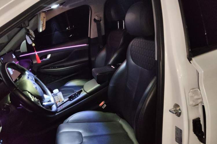 Used Hyundai Santa Fe 2020 380 TGDi Automatic Two-Wheel Drive DLX Prestige Edition PLUS Left Front Seat