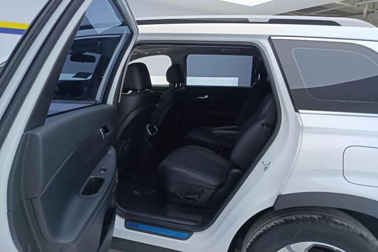 Used Hyundai Santa Fe 2020 380 TGDi Automatic Two-Wheel Drive GLS Luxury Edition Left Rear Seat