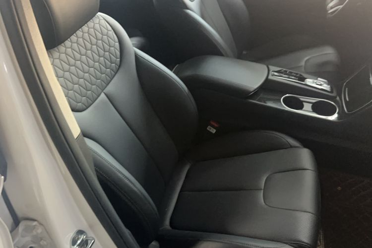Used Hyundai Santa Fe 2020 380 TGDi Automatic Two-Wheel Drive GLS Luxury Edition Right Front Seat