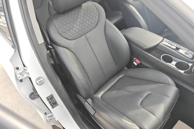 Used Hyundai Santa Fe 2020 380 TGDi Automatic Two-Wheel Drive GLS Luxury Edition Right Front Seat