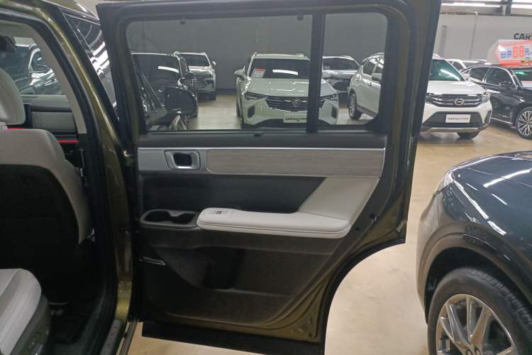 Used Hyundai Santa Fe 2024 2.0T Connoisseur Ultra Right Rear Door Interior